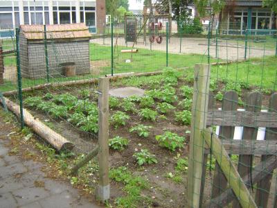 Schooltuin van de Lotusbloem