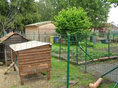 Schooltuin van de Lotusbloem