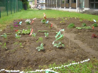 Schooltuin van de Balderschool