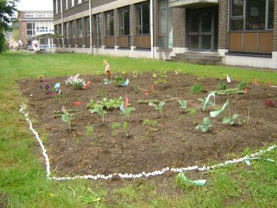 Schooltuin van de Balderschool